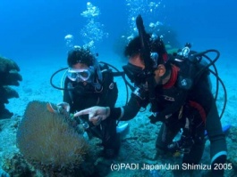 体験ダイビング　鎌ケ谷ダイビング　白井ダイビング　印西ダイビング　船橋ダイビング