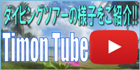 ダイビングツアーの様子をご紹介!Timon Tube