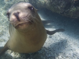 ※写真はイメージです