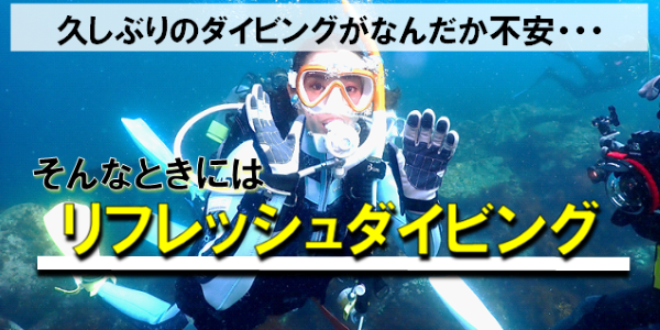 鎌ケ谷ダイビング 白井ダイビング 印西ダイビング 船橋ダイビング