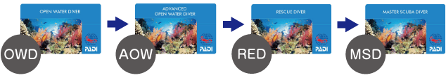 PADIダイビングシステムフローチャート